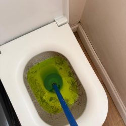 Dye testing at a blocked toilet to investigate drainage connectivity