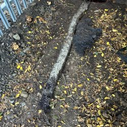 Roots Removed From Drainage Pipe